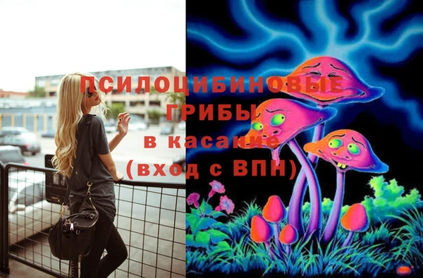 прущий лед Белокуриха
