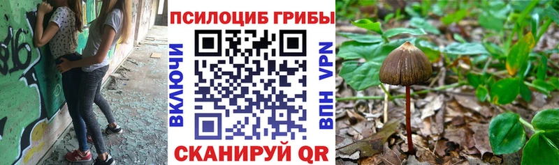 Галлюциногенные грибы GOLDEN TEACHER  Электросталь 